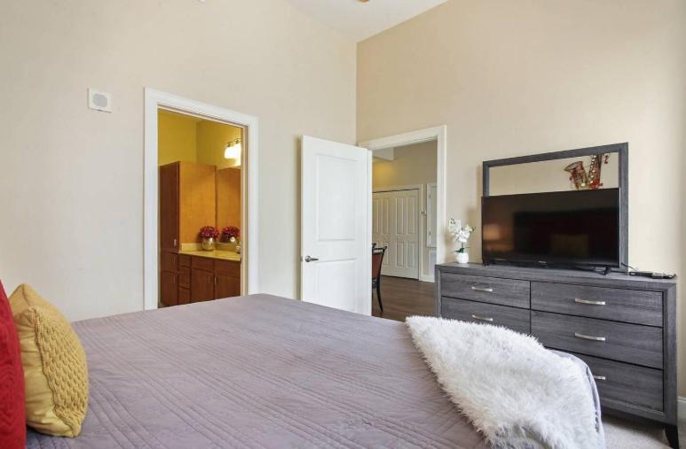 ניו אורלינס Amazing Condos Beautiful View 2 Blocks To French Quarter, Small Rooftop Pool, Gym, Seanger Theater, Super Dome, And Bourbon St מראה חיצוני תמונה
